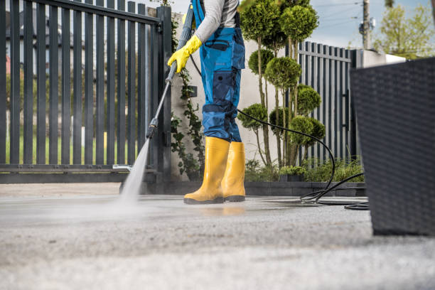 Best Graffiti Removal  in Hampton, MD
